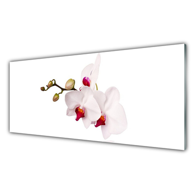 Kitchen Splashback Flowers floral pink white