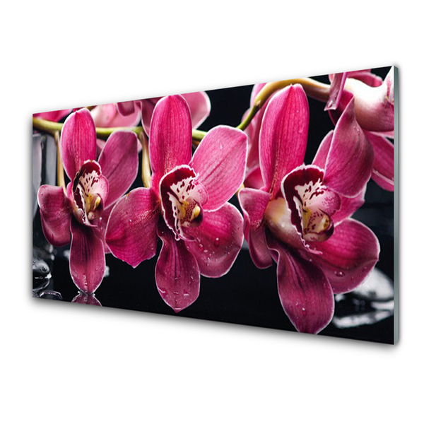 Kitchen Splashback Flowers floral red