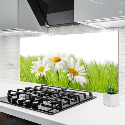 Kitchen Splashback Grass daisies floral white green