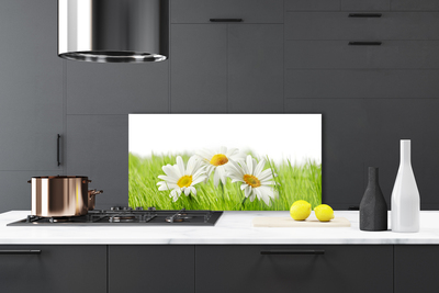 Kitchen Splashback Grass daisies floral white green