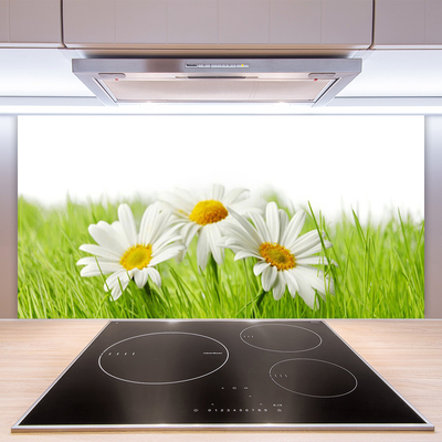 Kitchen Splashback Grass daisies floral white green