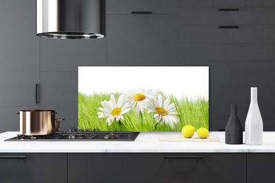 Kitchen Splashback Grass daisies floral white green