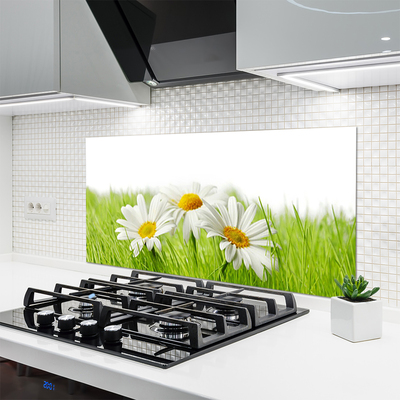 Kitchen Splashback Grass daisies floral white green