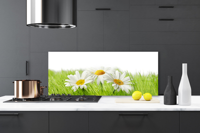 Kitchen Splashback Grass daisies floral white green