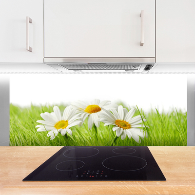 Kitchen Splashback Grass daisies floral white green