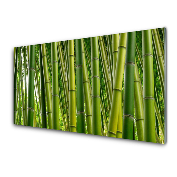 Kitchen Splashback Bamboo stalks floral green