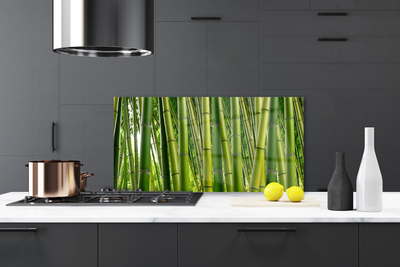 Kitchen Splashback Bamboo stalks floral green