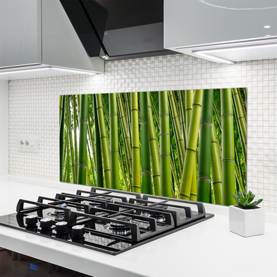 Kitchen Splashback Bamboo stalks floral green