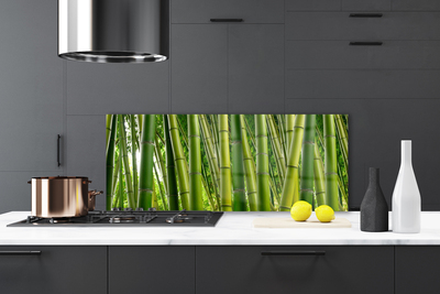 Kitchen Splashback Bamboo stalks floral green