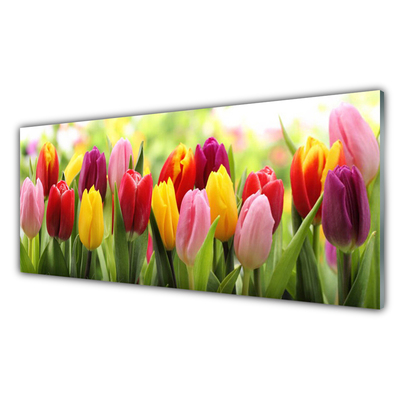 Kitchen Splashback Tulips floral pink red yellow