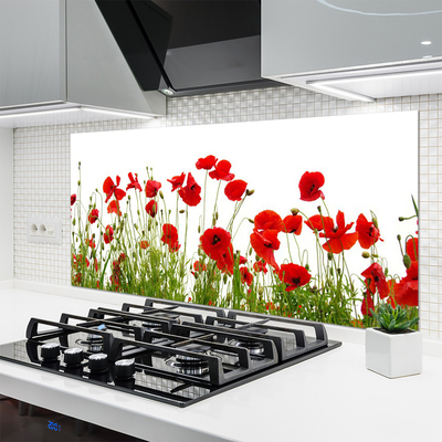 Kitchen Splashback Poppies floral red green