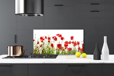 Kitchen Splashback Poppies floral red green