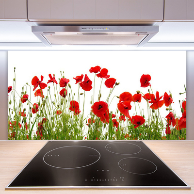 Kitchen Splashback Poppies floral red green