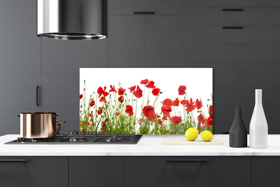 Kitchen Splashback Poppies floral red green