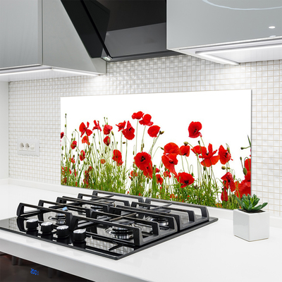 Kitchen Splashback Poppies floral red green