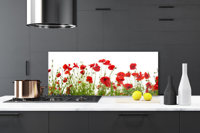 Kitchen Splashback Poppies floral red green