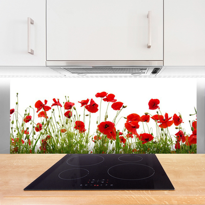 Kitchen Splashback Poppies floral red green