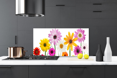 Kitchen Splashback Flowers floral multi