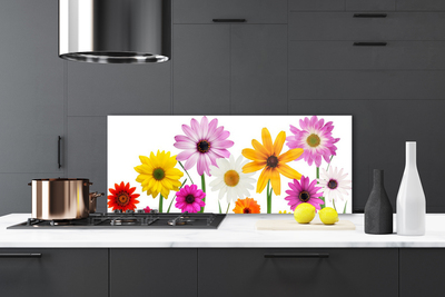 Kitchen Splashback Flowers floral multi