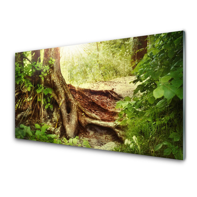 Kitchen Splashback Tree trunk nature brown green