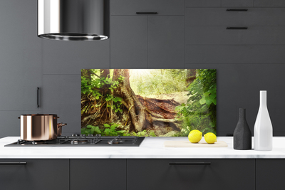 Kitchen Splashback Tree trunk nature brown green