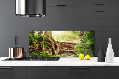 Kitchen Splashback Tree trunk nature brown green