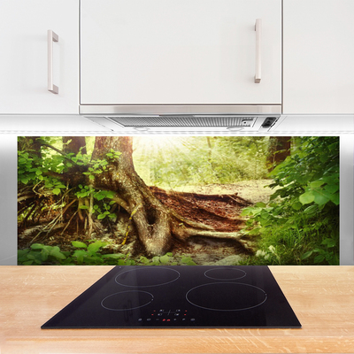 Kitchen Splashback Tree trunk nature brown green