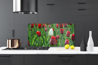 Kitchen Splashback Tulips floral red white green