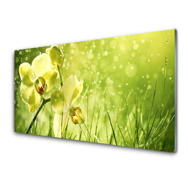 Kitchen Splashback Grass flowers floral green