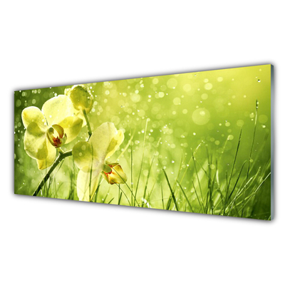 Kitchen Splashback Grass flowers floral green