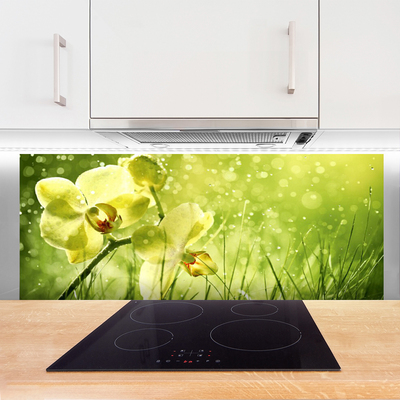 Kitchen Splashback Grass flowers floral green