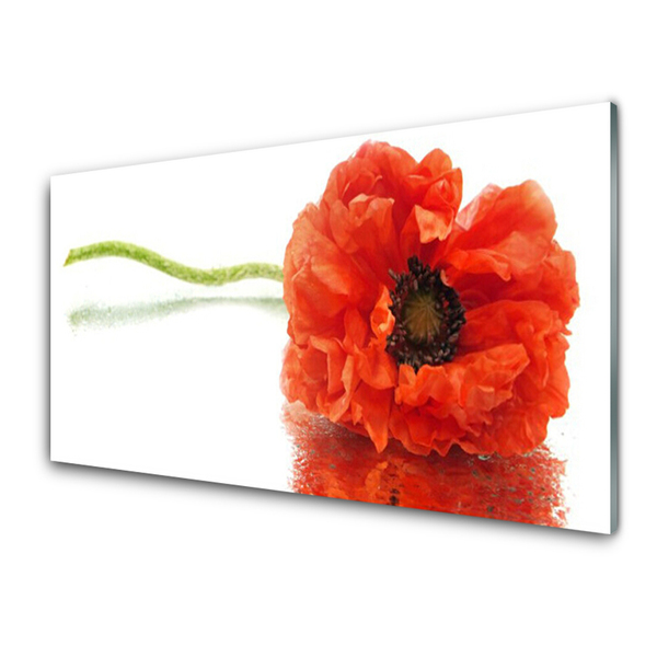 Kitchen Splashback Flower floral red