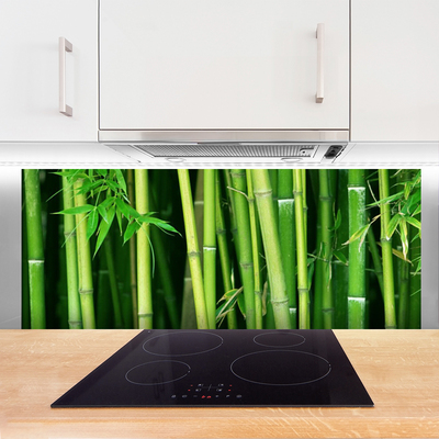 Kitchen Splashback Bamboo stalks floral green