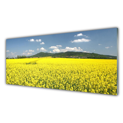 Kitchen Splashback Meadow nature yellow