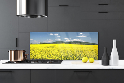 Kitchen Splashback Meadow nature yellow