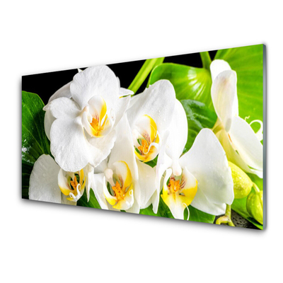 Kitchen Splashback Petals floral white green