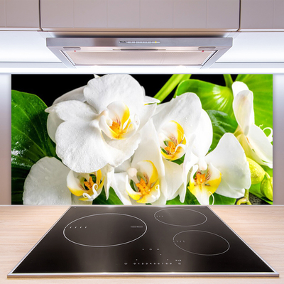 Kitchen Splashback Petals floral white green