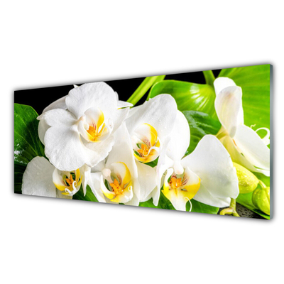 Kitchen Splashback Petals floral white green