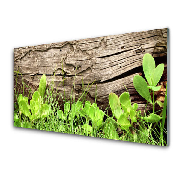 Kitchen Splashback Grass leaves floral green