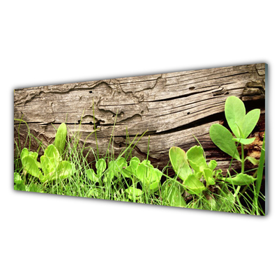 Kitchen Splashback Grass leaves floral green