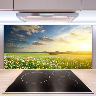 Kitchen Splashback Meadow flowers landscape green white