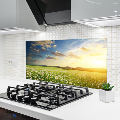 Kitchen Splashback Meadow flowers landscape green white