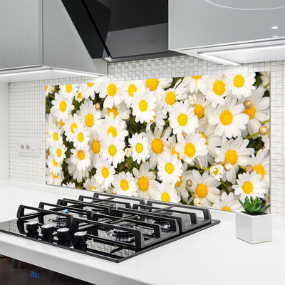 Kitchen Splashback Daisy floral yellow white