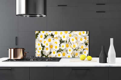 Kitchen Splashback Daisy floral yellow white