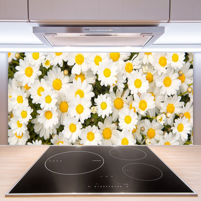 Kitchen Splashback Daisy floral yellow white