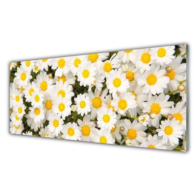 Kitchen Splashback Daisy floral yellow white