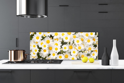 Kitchen Splashback Daisy floral yellow white