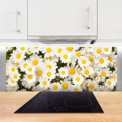 Kitchen Splashback Daisy floral yellow white