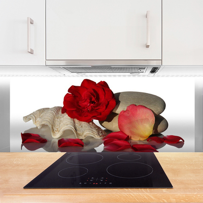 Kitchen Splashback Rose conch stones art red white grey