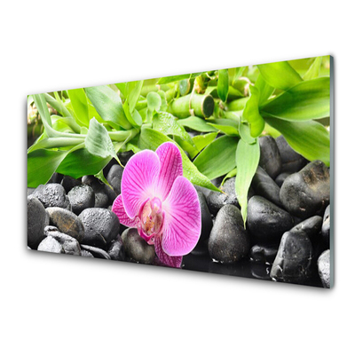 Kitchen Splashback Flower leaves stones art pink green black